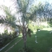Beautiful Apartment for sale in Malaga 215292