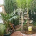 Coin property: Coin Townhome, Spain 215303