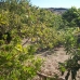 Estepona property: 3 bedroom Villa in Malaga 215330