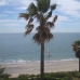 Estepona property: 3 bedroom Apartment in Malaga 215336