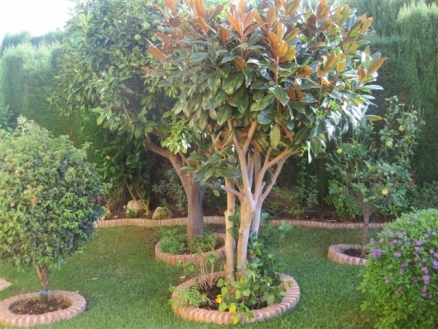 Malaga Villa 215358