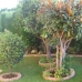 Beautiful Villa for sale in town 215358