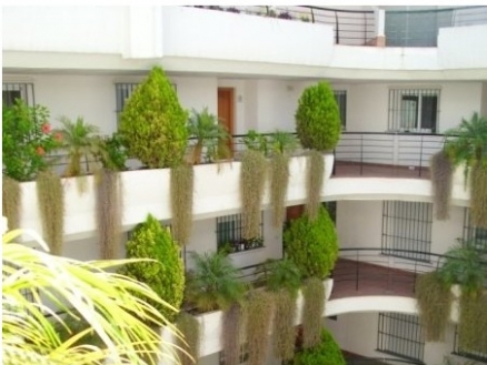 Guadalmina Alta property: Malaga Apartment 215387