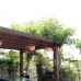 Villa in town 215423