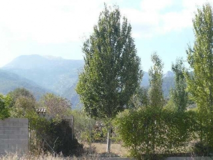 Selva property: Villa with 4 bedroom in Selva, Spain 215451