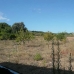 Selva property:  Villa in Mallorca 215451