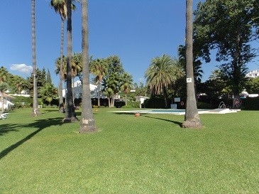 Nueva Andalucia property: Malaga Apartment 215458