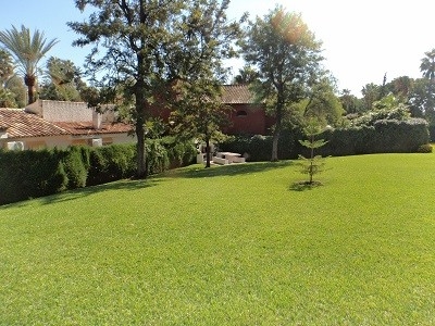 Nueva Andalucia property: Nueva Andalucia Apartment 215458