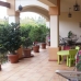 San Pedro de Alcantara property: Apartment in San Pedro de Alcantara 215492