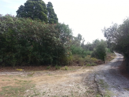 Sierra Blanca property: Land with bedroom in Sierra Blanca, Spain 215507