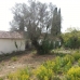 Sierra Blanca property: Sierra Blanca Land, Spain 215507