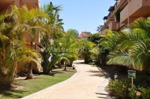 El Rosario property: Apartment for sale in El Rosario 215514