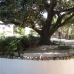 Mijas property: Villa in Malaga 215524