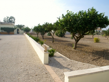 Rafal property: Villa with 3 bedroom in Rafal 215528