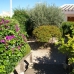 3 bedroom Villa in town, Spain 215536