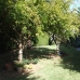 Calahonda property: Villa in Malaga 215547