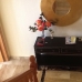 Estepona property: Estepona Apartment, Spain 215594