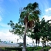 Torremolinos property: Torremolinos, Spain Townhome 215604