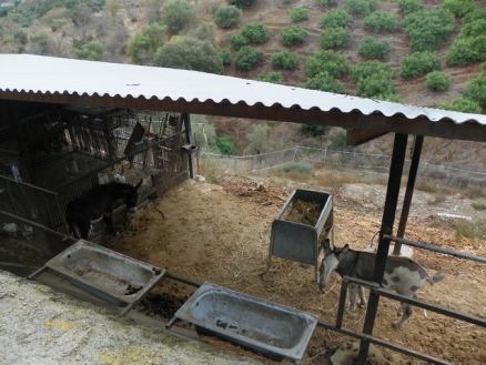 Alhaurin El Grande property: Alhaurin El Grande Villa 215612