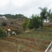 Alhaurin El Grande property: Malaga Villa, Spain 215612