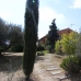 Las Chapas De Marbella property:  Villa in Malaga 215649