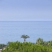 Elviria property: Elviria, Spain Apartment 215690