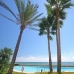 New Golden Mile property: Malaga, Spain Apartment 215693