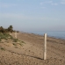 Los Monteros property: Los Monteros, Spain Apartment 215705