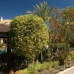 El Rosario property: El Rosario, Spain Villa 215709