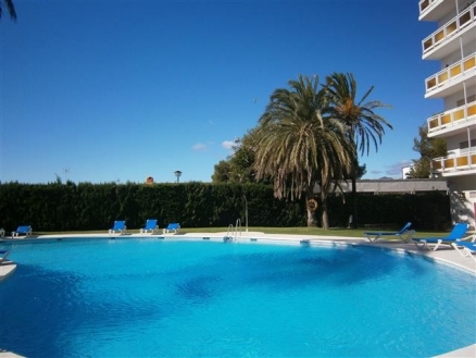 Nueva Andalucia property: Malaga property | 1 bedroom Apartment 215716