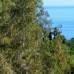 Benalmádena property: Villa in Malaga 215718