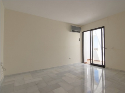 Nueva Andalucia property: Malaga Villa 215745