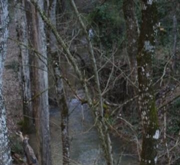 Ronda property: Ronda, Spain | Villa for sale 215791