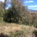 Mijas property:  Land in Malaga 215808