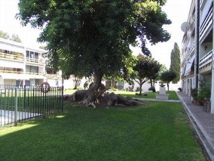 San Pedro de Alcantara property: Apartment with 1 bedroom in San Pedro de Alcantara 215819