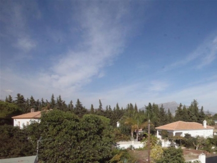 Guadalmina Alta property: Villa in Malaga for sale 215830