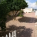 Benijofar property:  Villa in Alicante 215834