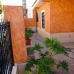 Benijofar property: Villa in Benijofar 215837