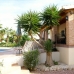 Catral property: Beautiful Villa for sale in Alicante 215838