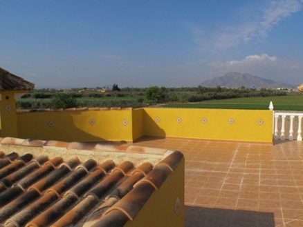 Catral property: Villa for sale in Catral, Alicante 215844