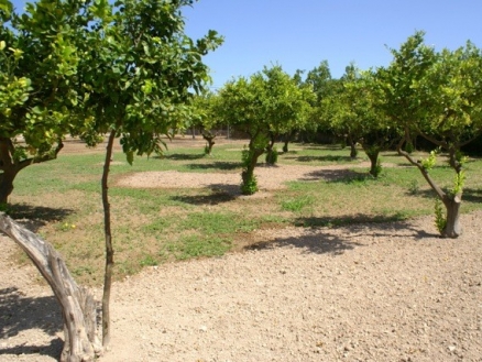 Rafal property: Villa with 3 bedroom in Rafal, Spain 215846