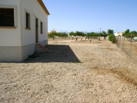 Rafal property: Rafal Villa 215846