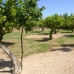 Rafal property: 3 bedroom Villa in Alicante 215846