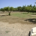 Rafal property: Rafal Villa, Spain 215846