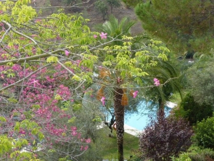Apartment for sale in town, Malaga 215856