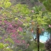 Apartment in Malaga 215856