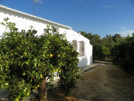 Alhaurin El Grande property: Alhaurin El Grande Villa 215893
