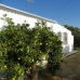 Alhaurin El Grande property: Beautiful Villa for sale in Malaga 215893