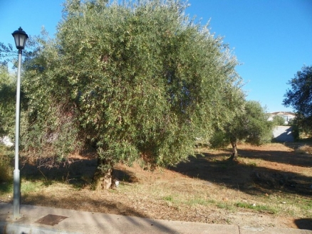 Alhaurin El Grande property: Land with bedroom in Alhaurin El Grande, Spain 215895