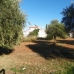 Alhaurin El Grande property: Alhaurin El Grande, Spain Land 215895
